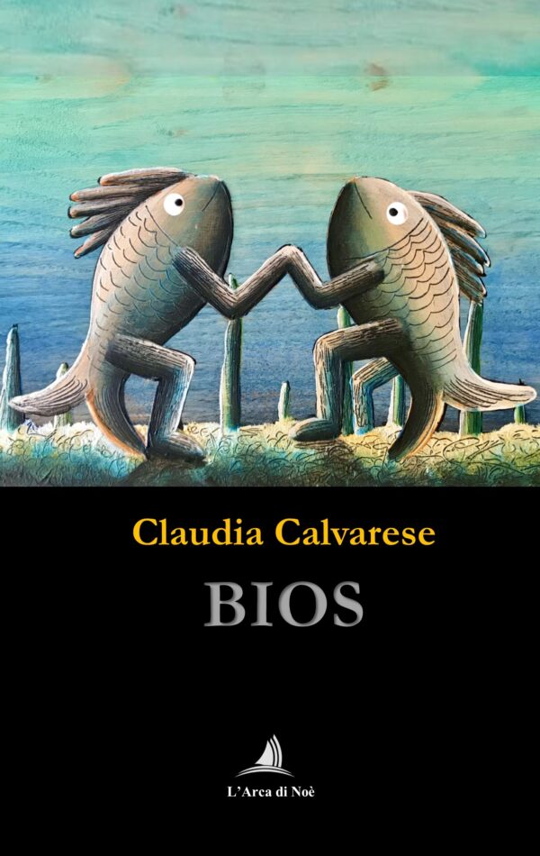 BIOS